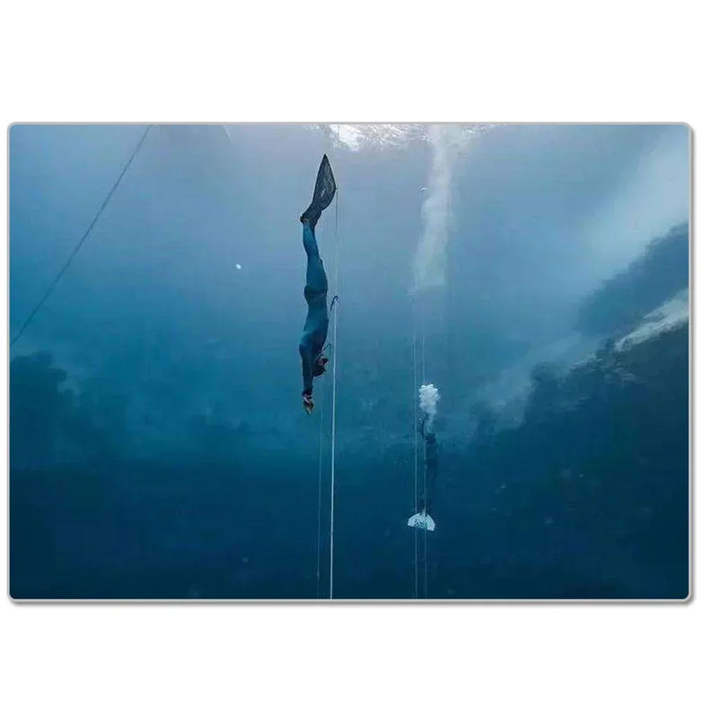 Correa de muñeca para buceo, c - D Ring Strap reseña y precio